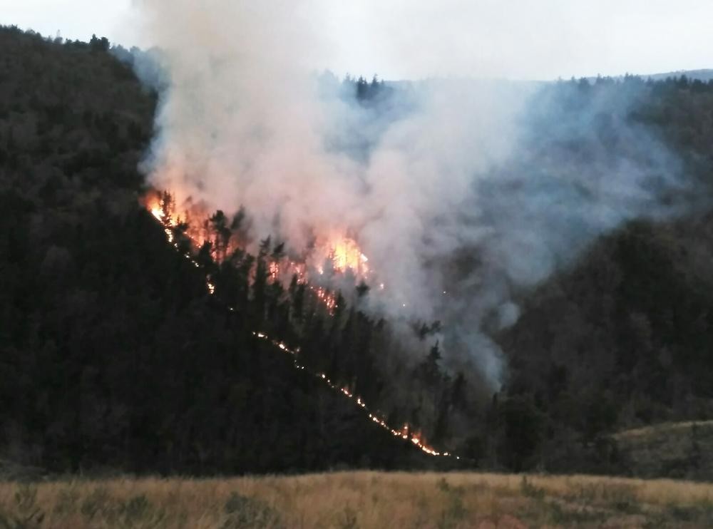 Murrizketak eta debekuak indarrean gauerditik aurrera, baso-sute arrisku oso handiagatik