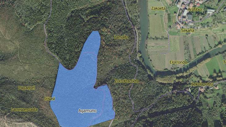 58 urteko basoa ebakiko du Foru Aldundiak Andatzan