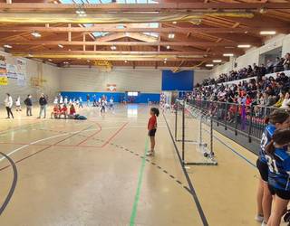 Alebin eta benjamin mailako Gipuzkoako eskubaloi topaketarik handiena Usurbilen igande honetan