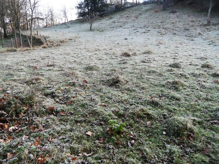 Gau eta goizalde izoztuak egunotan