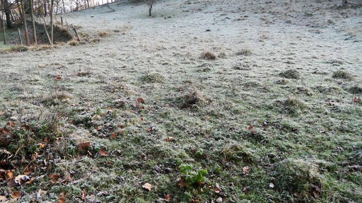 Gau eta goizalde izoztuak egunotan