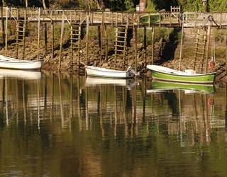 Naturako koloreak proiektatuko ditu Iñaki Agirresarobek Sutegin
