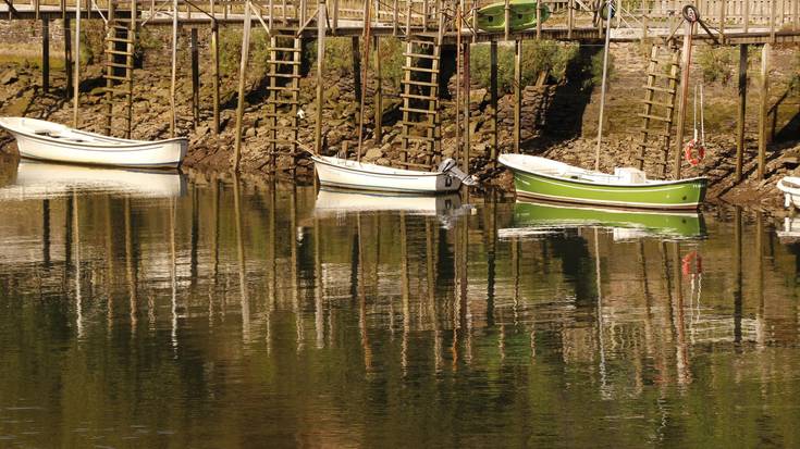 Naturako koloreak proiektatuko ditu Iñaki Agirresarobek Sutegin
