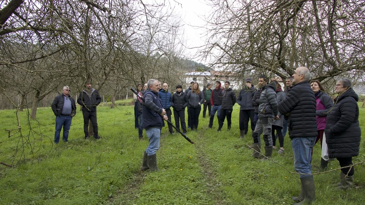 Sagarrondoak kimatzeko ikastaro egin dute