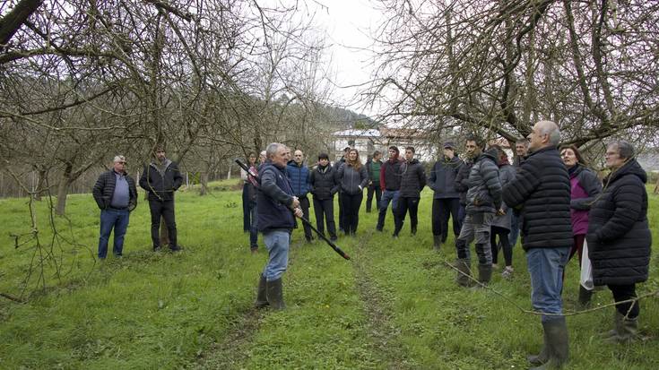 Sagarrondoak kimatzeko ikastaro egin dute