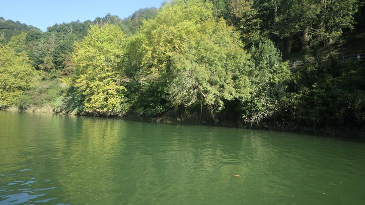 Eguzkik Eusko Jaurlaritzaren erabakia txalotu du
