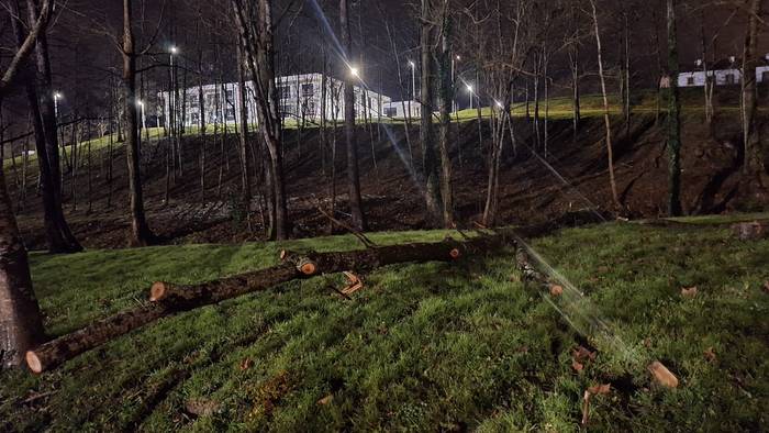 Haizeagatik abisu horian berriz, ostiral goizaldean