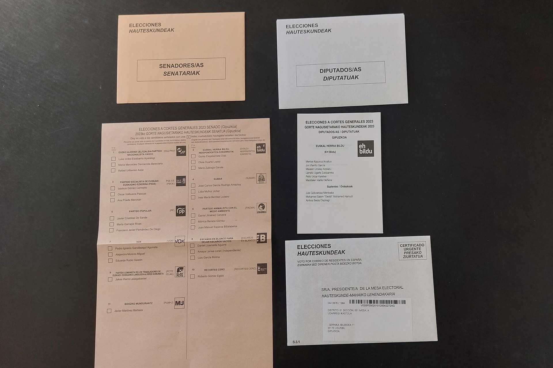EHBilduko senatariak bozkatuenak Usurbilen