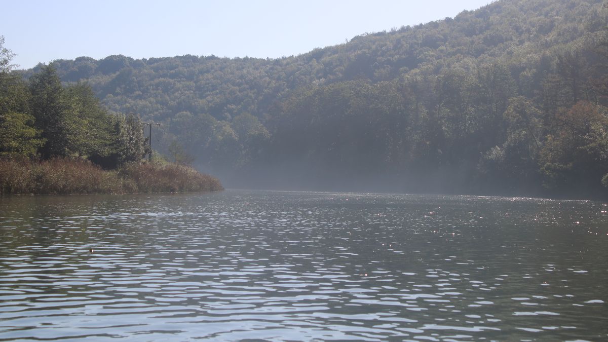 Asiako txirla Orian, Aginaga parean