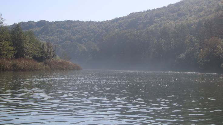 Asiako txirla Orian, Aginaga parean