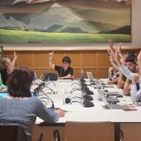 Udalbatzaren osoko bilkura