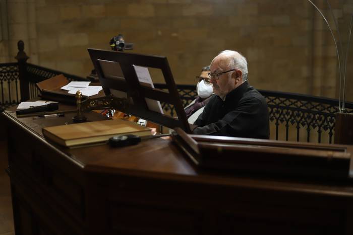 Esteban Elizondo organojolea Salbatore elizan