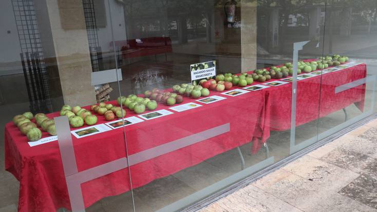 Sagardoetarako baliatzen den sagarren erakusketa ikusgai