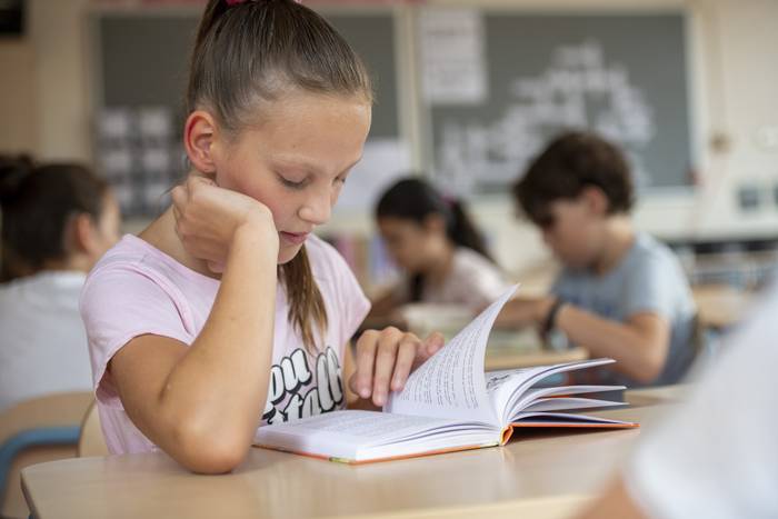 Irakurtzea: ulermenetik aukerara