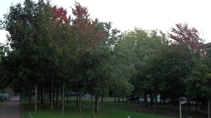 Abisu horian gaur gauean, 80-100 kilometro orduko haize-boladak izan ditzakegu