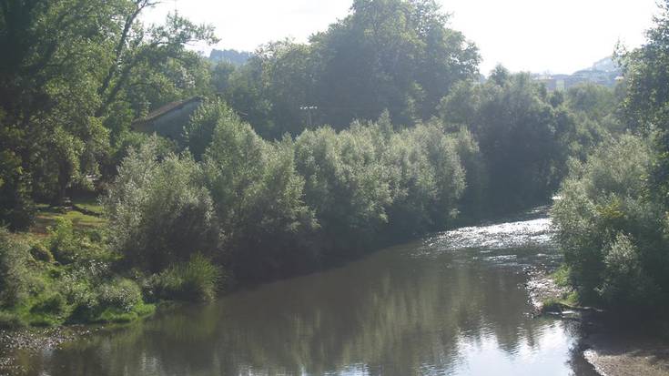Gorpu bat aurkitu dute errioan, Zubieta parean