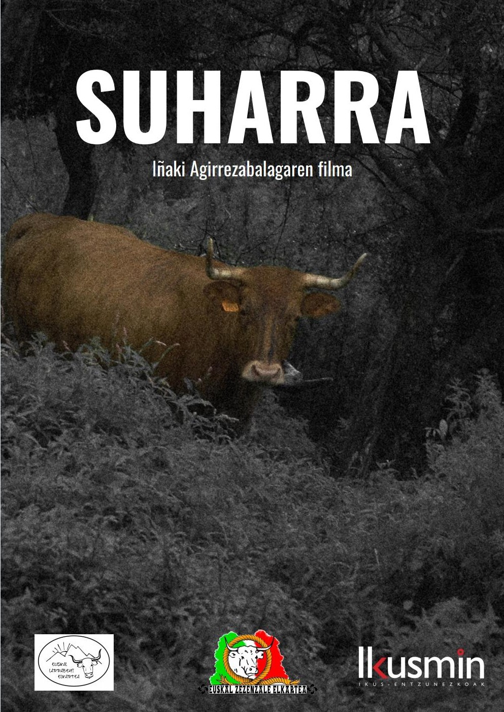 "Suharra" dokumentalaren proiekzioa, astebete atzeratua