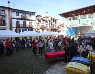 Hainbat ikastaro ate joka