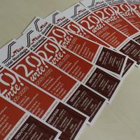 Irakurketa-solasaldia