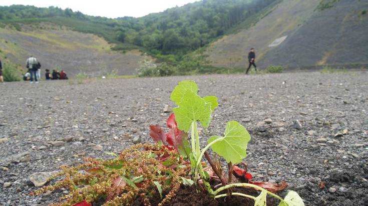 GuraSOS: "Abenduaren 27an ez da ezer amaitzen"