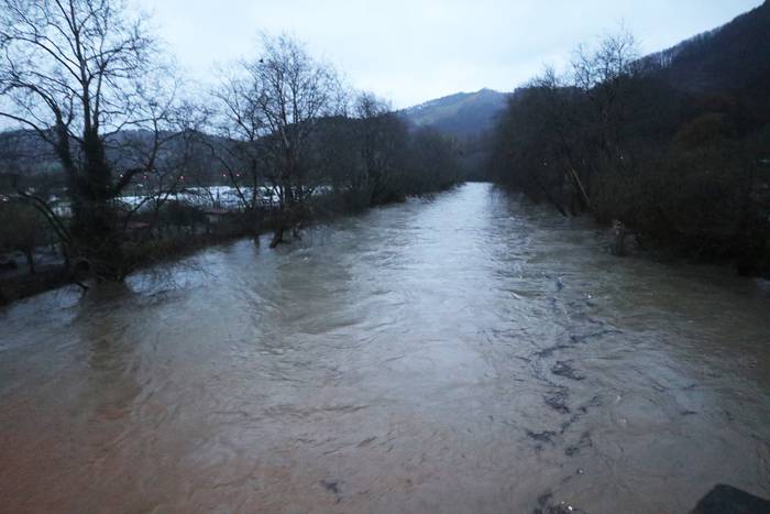 Maila laranjara heldu da Oria