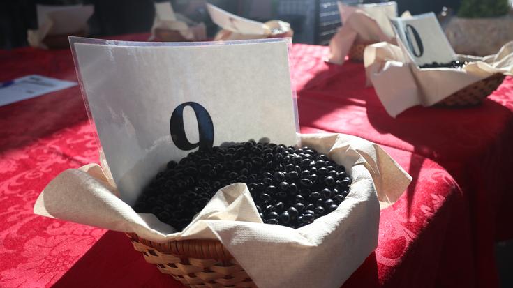 San Tomas azokako babarrun eta sagardo txapelketetan izena emateko azken astea