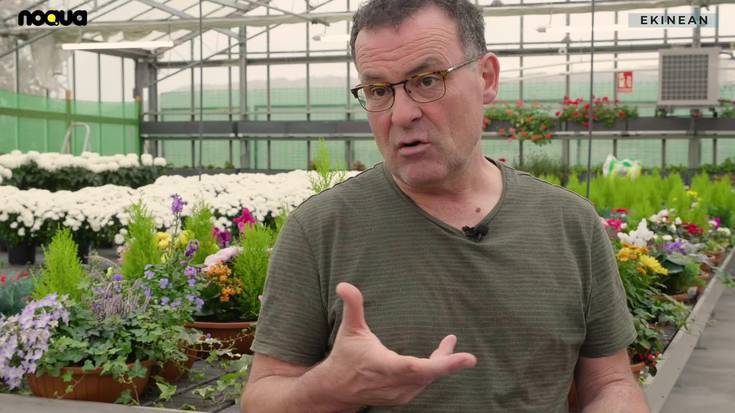 Jakoba Errekondok ohorezko aipamena jasoko du aurtengo Rikardo Arregi kazetaritza sariketan