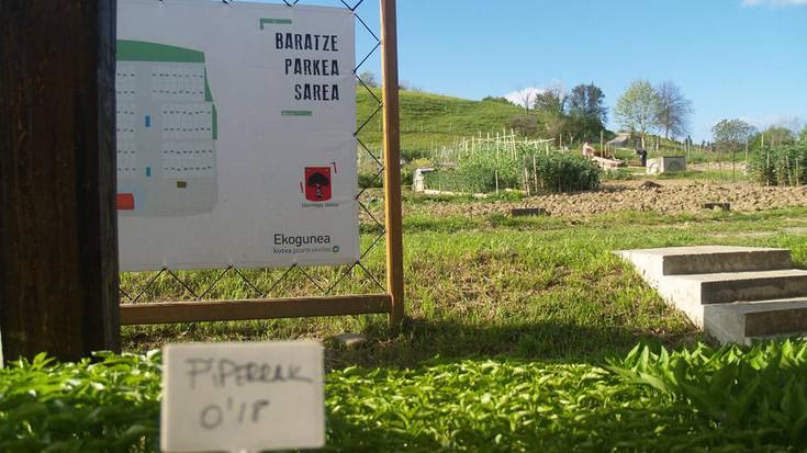 Furgobaratza bueltan dator gaur tomatearen tailerrarekin, Agerrazpiko udal baratzetara