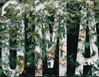 Soinurbil zikloaren azken hitzorduak asteburuan