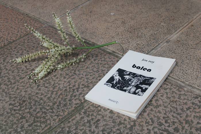 Anbulatorio ataria, literaturari eskainitako txokoa