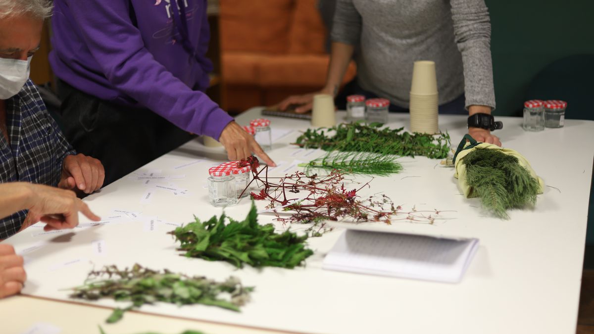 Zenbait ikastaro aste honetan