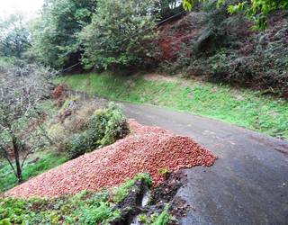 Oiloki eta Arratzain arteko bidea itxita, asteazkenetik ostiralera