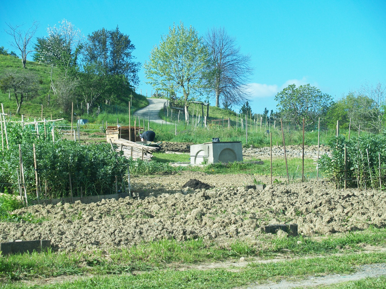 Furgobaratza dator gaur udal baratzen parkera tailer batekin