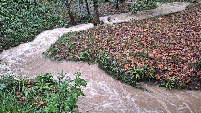 Abisu horian segiko dugu gaur ere