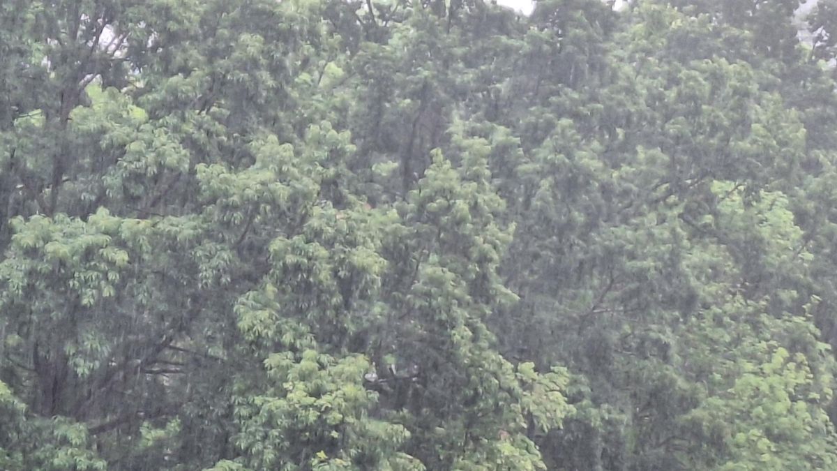 Euriagatik abisu horian, eguerditik aurrera