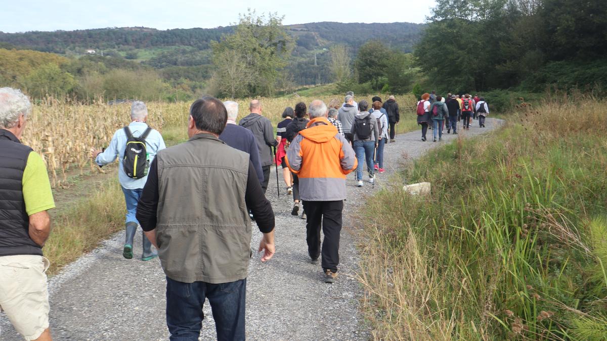 Sagardoaren kulturari lotutako bertso ibilaldia, datozen bisita gidatuen artean