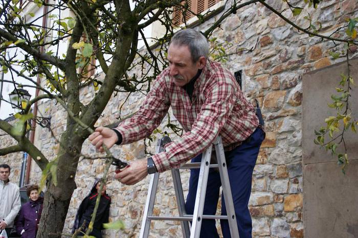 “Zuhaitzen udako txertaketa” saioa, larunbatean Potxoenean