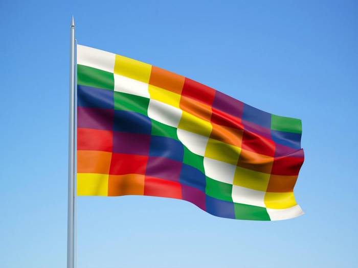 Boliviako estatu kolpea salatu du udalbatzak