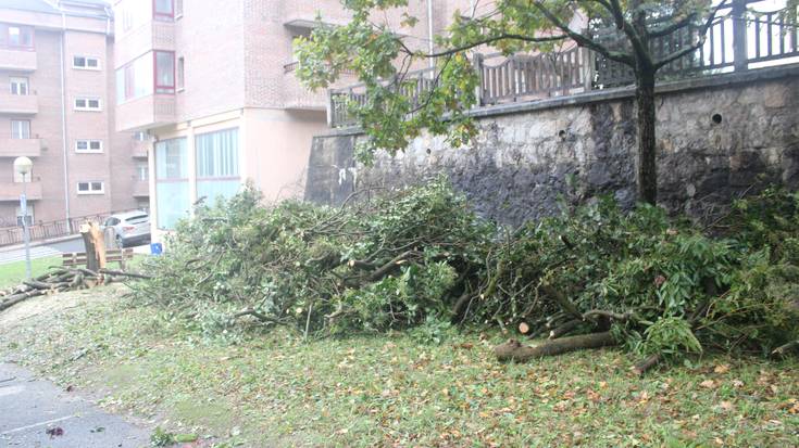 Haizeagatik abisu eta alerten eraginpean igande goizaldera arte