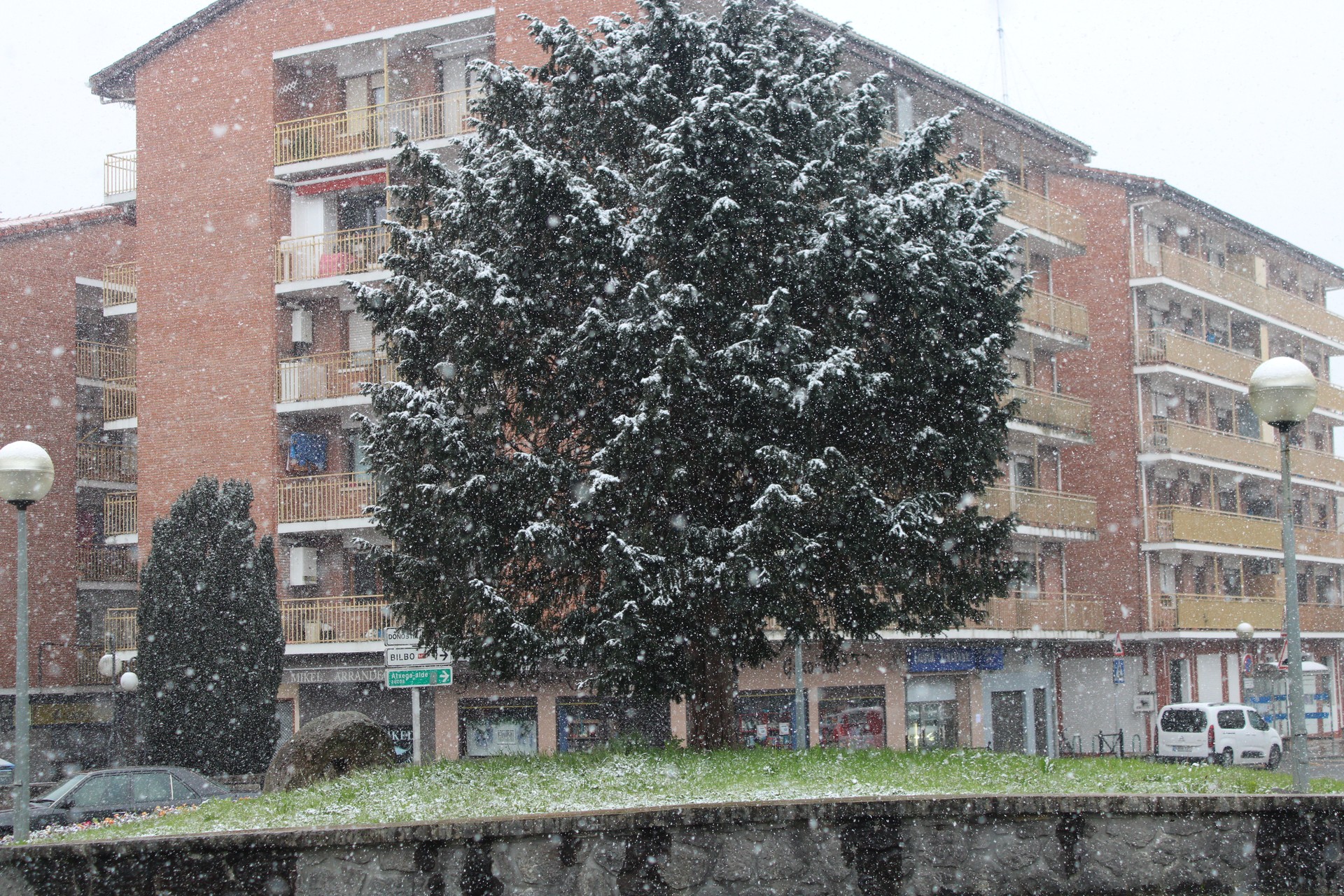 Gauean elurra egin dezake
