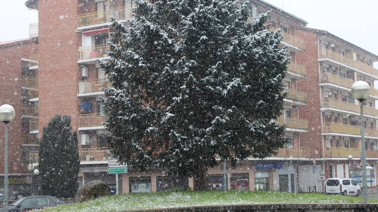 Gauean elurra egin dezake
