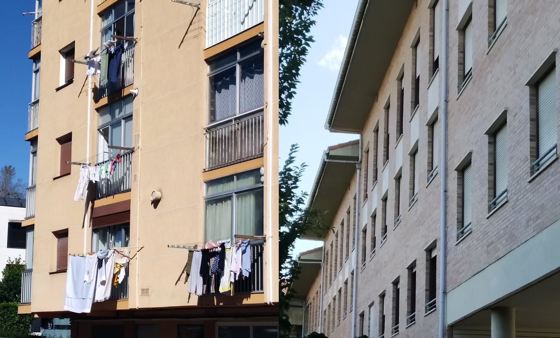Ikusi makusi, zer ez ikusi