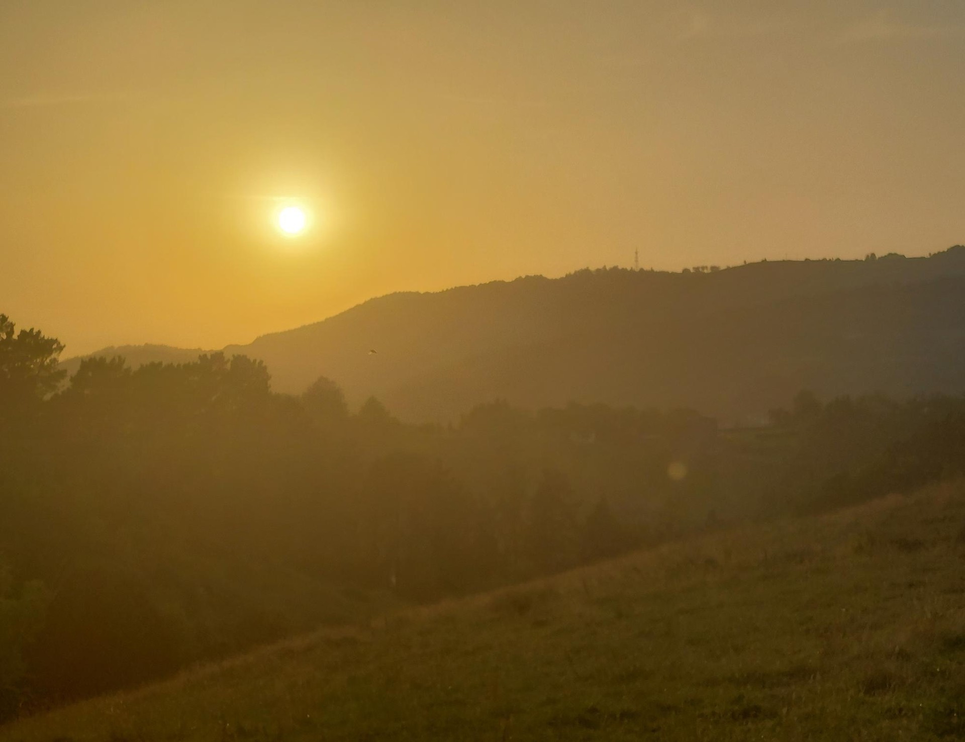 Beroaldia astebururaino luzatuko da