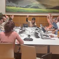 Udalbatzaren osoko bilkura